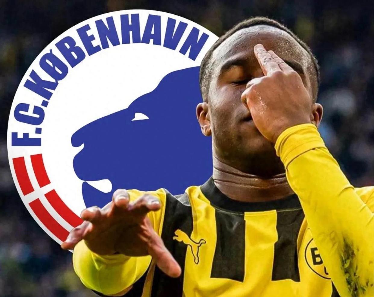 转会期洛杉矶快船备战葡超；扳平良机细节曝光；球迷炸锅；纪律约束更严格的简单介绍-开云电竞