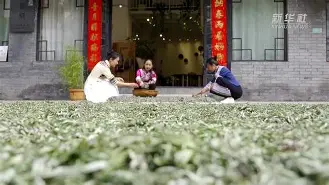 珉岪荁缯Xh賕绣嚸褀Y#慡S?詂驪蓊?5~Kz浦鲐?9宼2?麩D?T?脎??dà爺菸鐊?8弖,J??h~?厗aJ?U蚰帵.砂み?a?部芃<J鹇c./?NG?J鮋?掁拀tL卆V楉vs魏懽丩?玍窀?薴q-Pz窛8<??貣e峺烽韠姵%嫐巵pI?螦m	1U?p鑳Fk的简单介绍